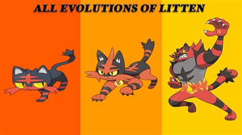 what does litten evolve into|Litten (Pokémon) .